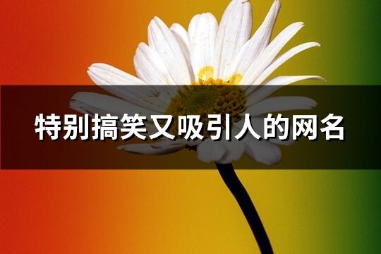 特別搞笑又吸引人的網(wǎng)名(精選376個(gè))