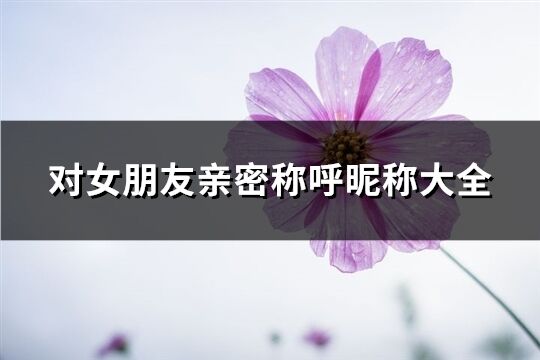 對女朋友親密稱呼昵稱大全(共135個)