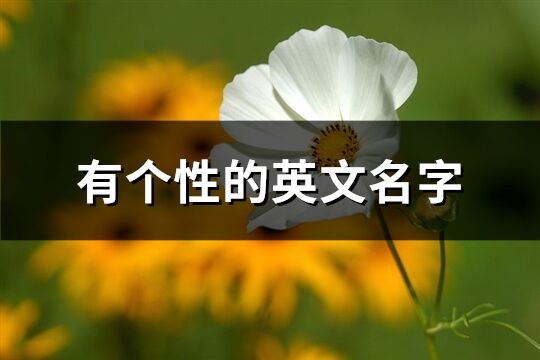 有個性的英文名字(145個)