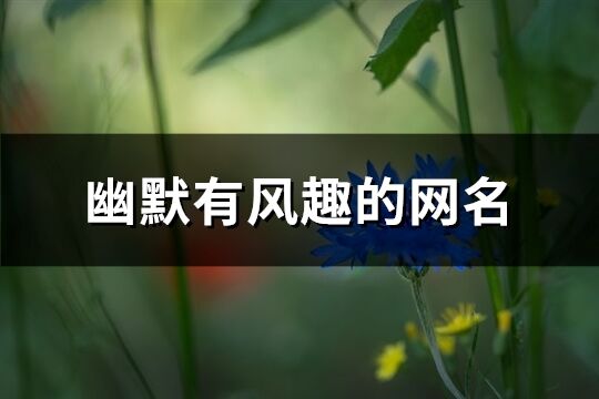 幽默有風(fēng)趣的網(wǎng)名(優(yōu)選301個)
