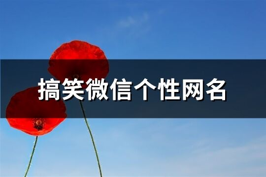搞笑微信個性網名(優選243個)