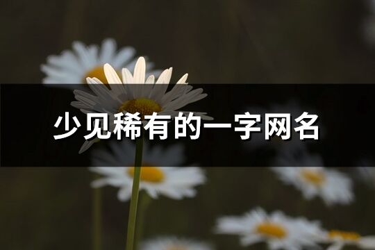 少見稀有的一字網(wǎng)名(精選115個(gè))