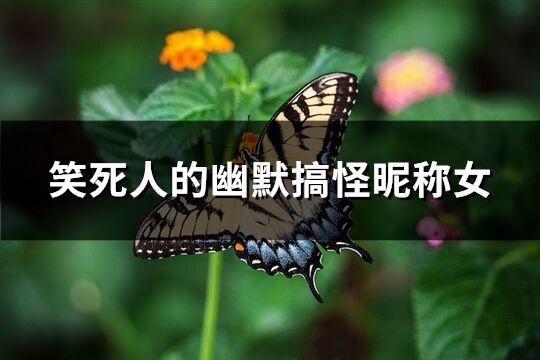 笑死人的幽默搞怪昵稱女(共246個)