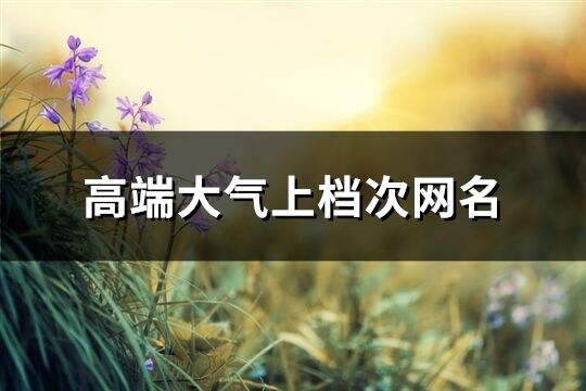 高端大氣上檔次網名(優選263個)