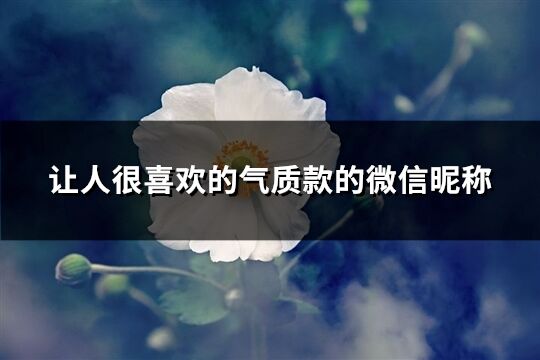 讓人很喜歡的氣質款的微信昵稱(精選957個)
