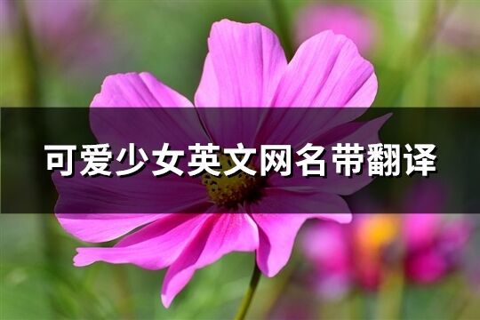 可愛少女英文網(wǎng)名帶翻譯(共93個(gè))