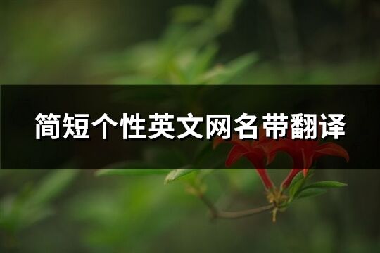 簡短個性英文網(wǎng)名帶翻譯(共139個)