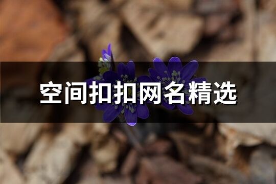 空間扣扣網(wǎng)名精選(共384個(gè))