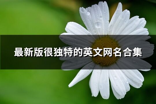 最新版很獨(dú)特的英文網(wǎng)名合集(優(yōu)選189個)