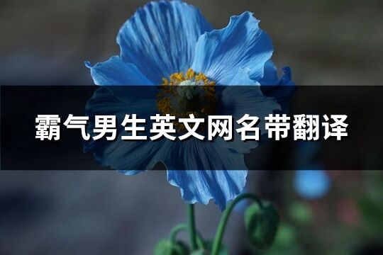 霸氣男生英文網名帶翻譯(80個)