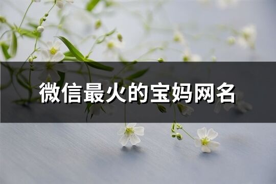 微信最火的寶媽網名(606個)
