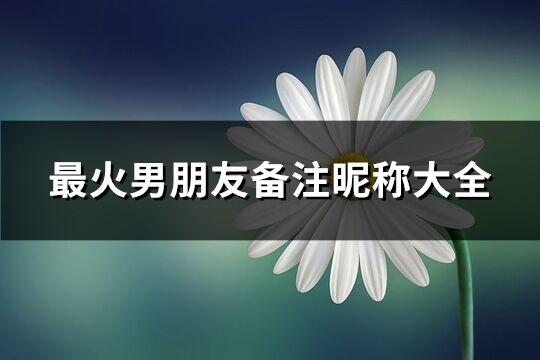 最火男朋友備注昵稱大全(526個)
