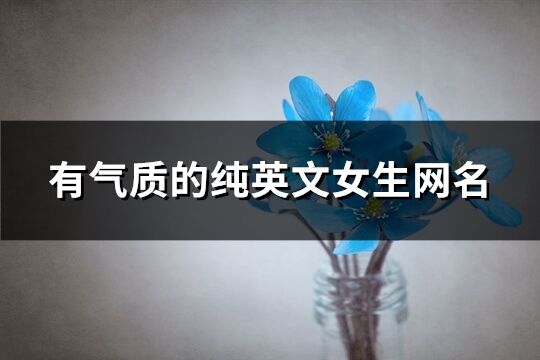 有氣質的純英文女生網名(精選67個)