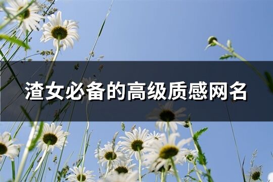 渣女必備的高級質(zhì)感網(wǎng)名(共104個)