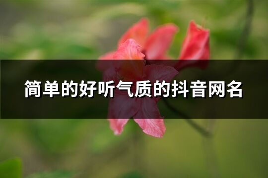 簡單的好聽氣質的抖音網名(優選1610個)