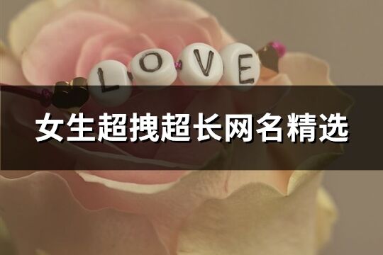 女生超拽超長網(wǎng)名精選(精選761個(gè))