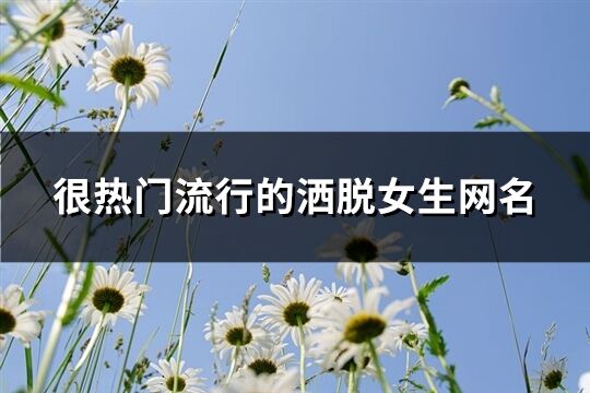 很熱門流行的灑脫女生網名(158個)