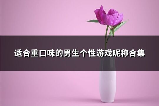 適合重口味的男生個(gè)性游戲昵稱合集(優(yōu)選200個(gè))