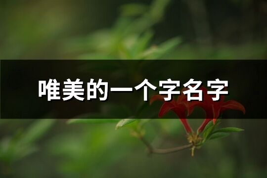 唯美的一個字名字(共308個)