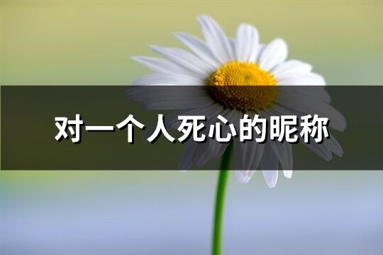對一個人死心的昵稱(165個)