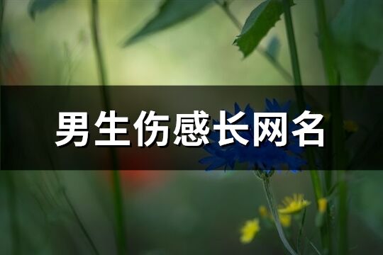 男生傷感長網(wǎng)名(精選626個)