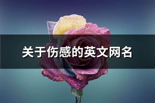 關于傷感的英文網名(精選145個)