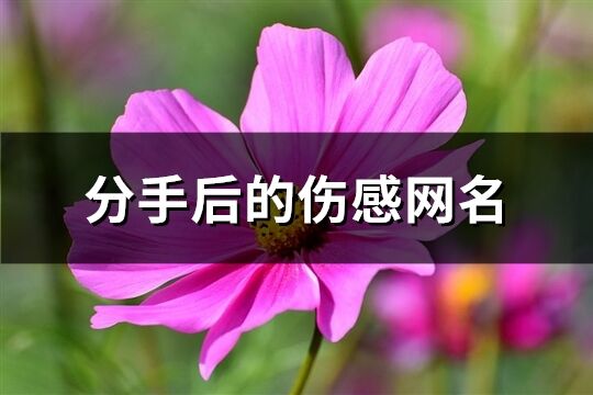 分手后的傷感網(wǎng)名(精選426個(gè))