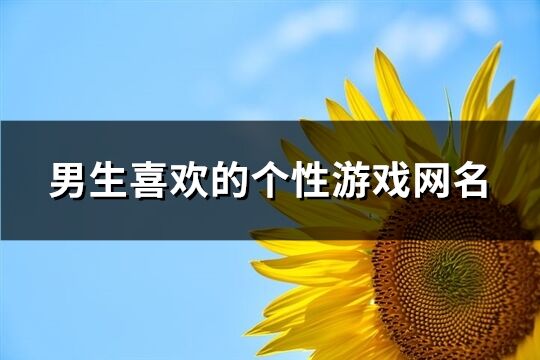 男生喜歡的個性游戲網(wǎng)名(優(yōu)選336個)