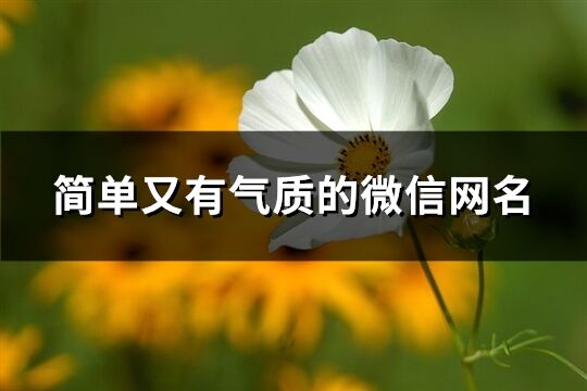 簡單又有氣質的微信網名(共2704個)
