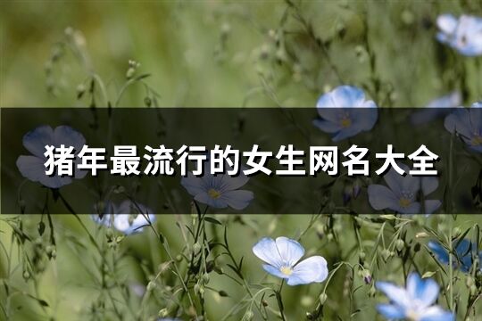 豬年最流行的女生網(wǎng)名大全(精選209個(gè))