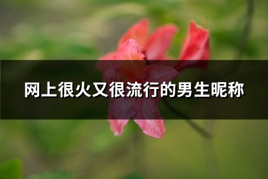 網上很火又很流行的男生昵稱(240個)