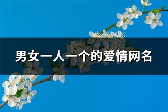 男女一人一個的愛情網(wǎng)名(優(yōu)選130個)