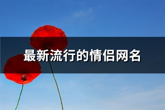 最新流行的情侶網(wǎng)名(284個(gè))