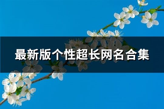 最新版?zhèn)€性超長網(wǎng)名合集(共1119個)