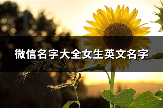 微信名字大全女生英文名字(優(yōu)選156個(gè))