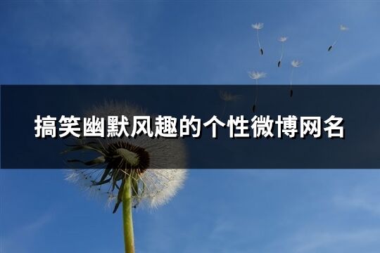 搞笑幽默風(fēng)趣的個性微博網(wǎng)名(326個)