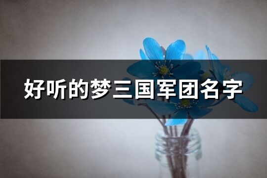 好聽(tīng)的夢(mèng)三國(guó)軍團(tuán)名字(238個(gè))