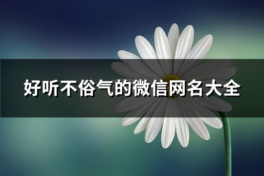 好聽不俗氣的微信網名大全(精選889個)