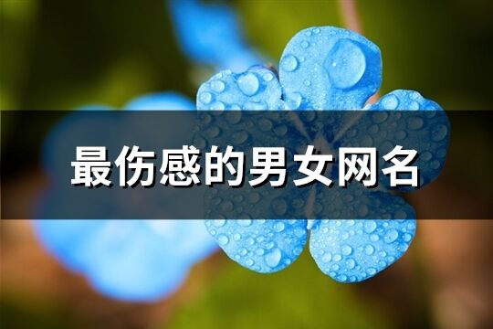 最傷感的男女網名(優選1026個)