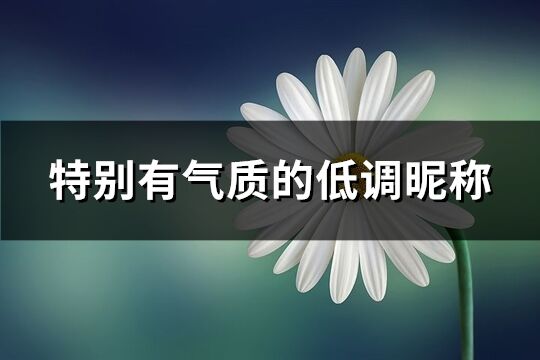 特別有氣質的低調昵稱(精選864個)