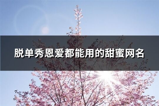脫單秀恩愛都能用的甜蜜網(wǎng)名(共519個)