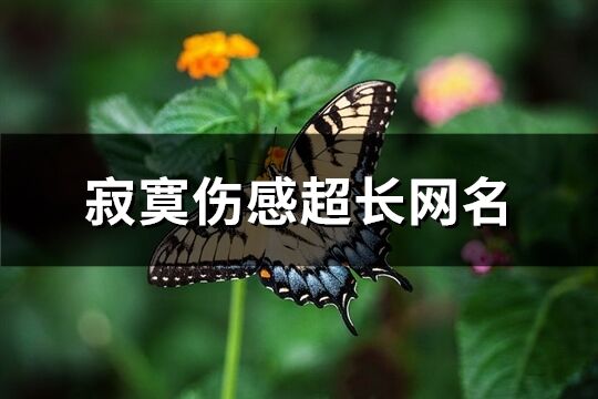 寂寞傷感超長網名(優選378個)
