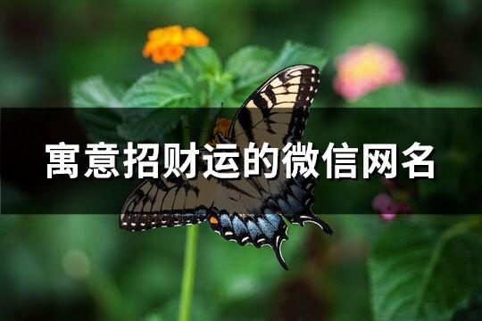 寓意招財運的微信網名(精選669個)