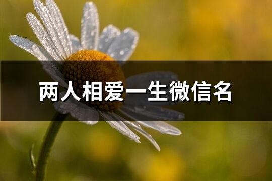兩人相愛一生微信名(優選150個)