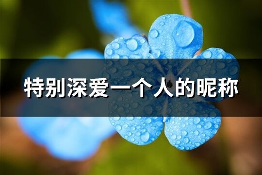特別深愛一個人的昵稱(精選288個)