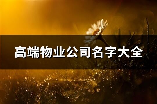 高端物業公司名字大全(共381個)