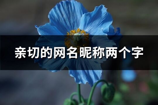 親切的網(wǎng)名昵稱兩個字(精選2206個)