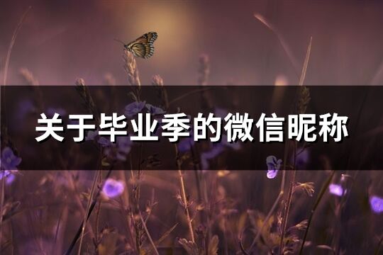 關(guān)于畢業(yè)季的微信昵稱(chēng)(精選126個(gè))