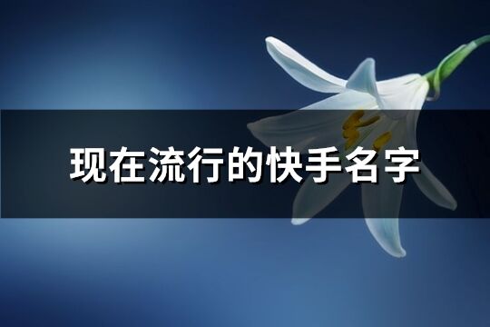 現(xiàn)在流行的快手名字(優(yōu)選1325個(gè))