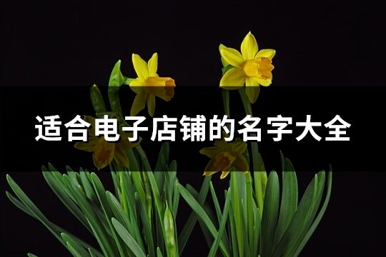 適合電子店鋪的名字大全(共449個)